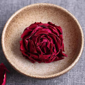 一朵承包一下午的美好时光  丽江雪山头茬墨红玫瑰花