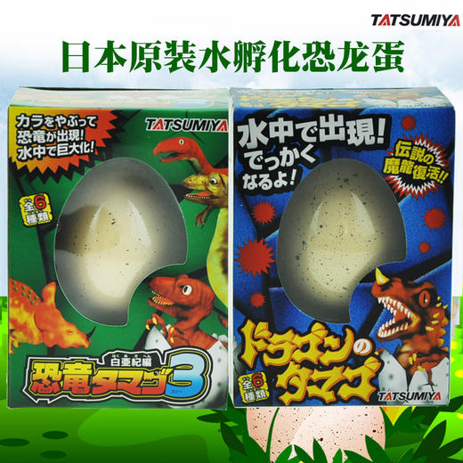 日本辰巳屋泡水孵化恐龙蛋变形魔法蛋幼儿园新奇益智玩具礼物抖音同款 商品图2