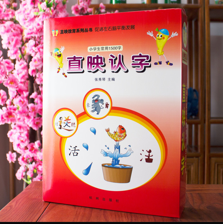 直映认字礼盒装【印刷版】三个月认识2000个字,各大幼小衔接培训机构