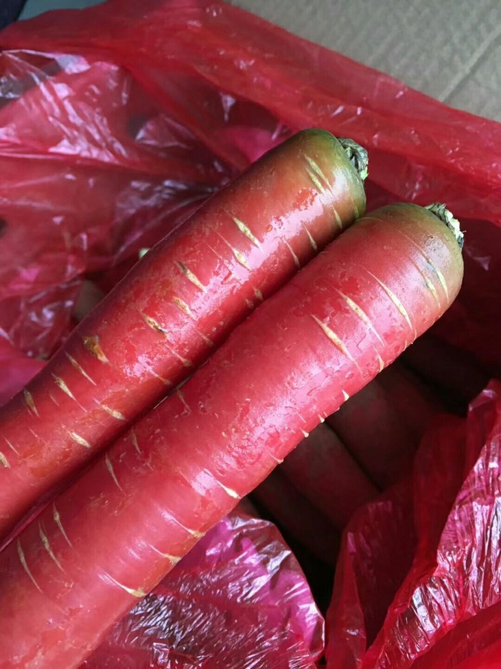 原产地直采陕西大荔红萝卜10斤装介意带土的勿拍哟
