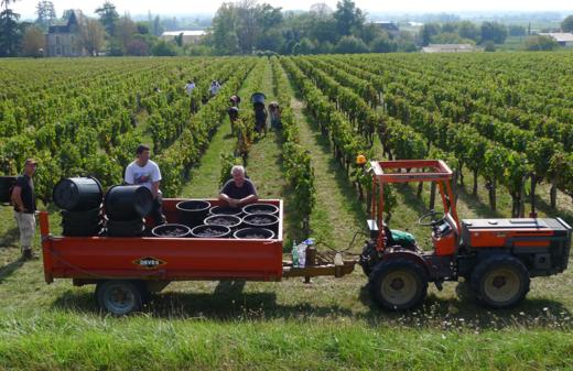 第102期丨康德干红葡萄酒2019 商品图3