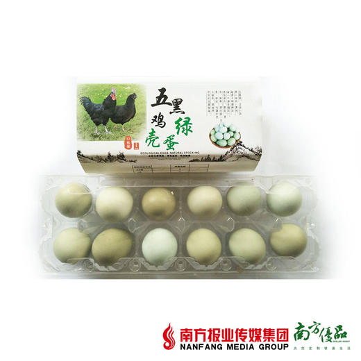 【次日提货】五黑鸡绿壳蛋  12个/盒 商品图0