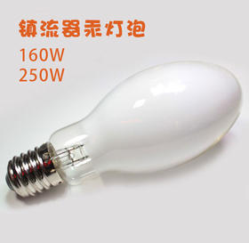 汞灯泡 160W