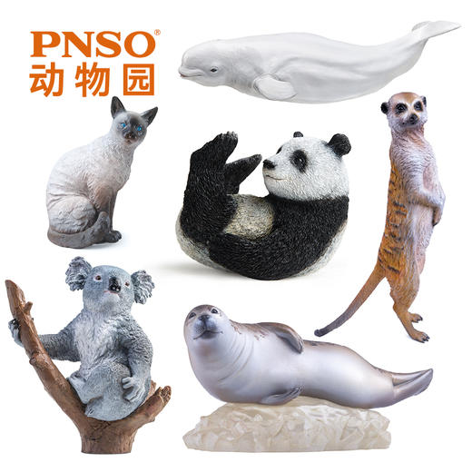 PNSO海豹暹罗猫猫鼬熊猫考拉白鲸动物园成长陪伴模型 商品图0