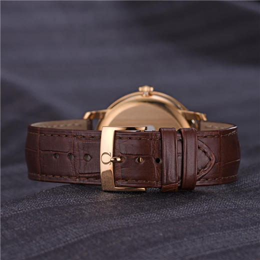 欧米茄 OMEGA 碟飞系列自动机械男表 424.53.40.20.03.001 商品图5