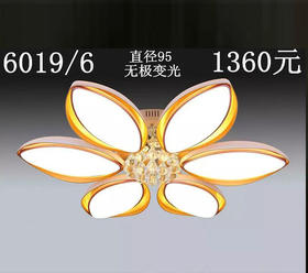子元 6019/6 无极变光