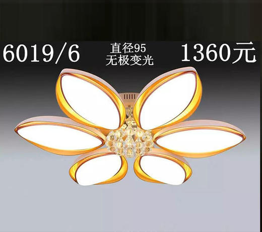 子元 6019/6 无极变光 商品图0