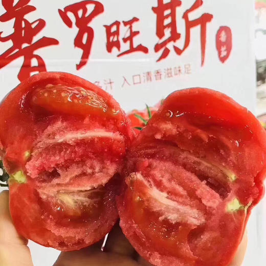 海阳自然熟普罗旺斯番茄 4斤 商品图0