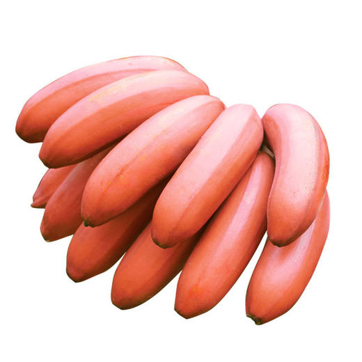 福建漳州红香蕉水果美人蕉当季红皮香蕉5斤15到25个