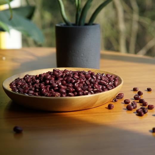 生态红豆 | 合作生产*Eco-ormosia  | Coproduction 商品图0