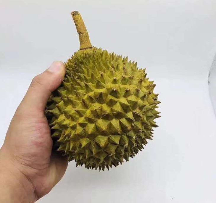 泰国进口巴掌榴莲托曼尼榴莲香甜美味