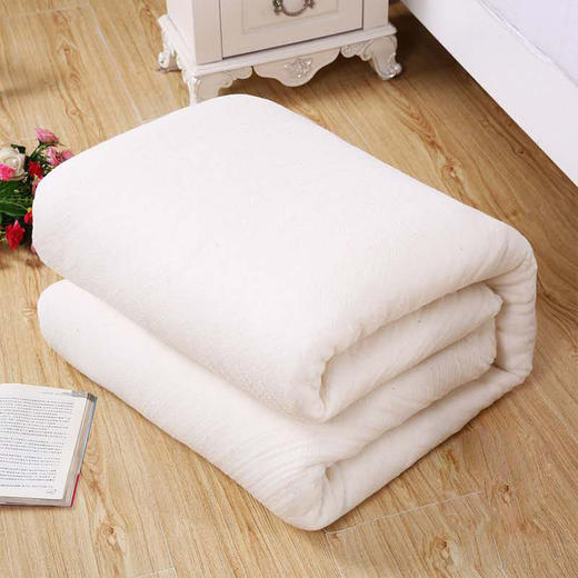 新疆夏季棉被 空调被2斤3斤 商品图0