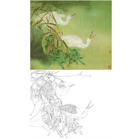 工笔花鸟白描底稿-曹小民-白鹭-斗方小品册页-A187