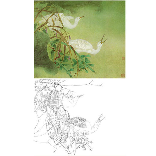 工笔花鸟白描底稿-曹小民-白鹭-斗方小品册页-A187 商品图0