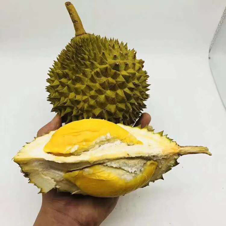 泰国进口巴掌榴莲托曼尼榴莲香甜美味