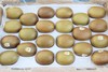 【维C王者】新西兰佳沛阳光金果奇异果22头/11头，酸甜可口！ 商品缩略图5
