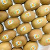 【维C王者】新西兰佳沛阳光金果奇异果22头/11头，酸甜可口！ 商品缩略图4