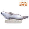 PNSO海豹暹罗猫猫鼬熊猫考拉白鲸动物园成长陪伴模型 商品缩略图2