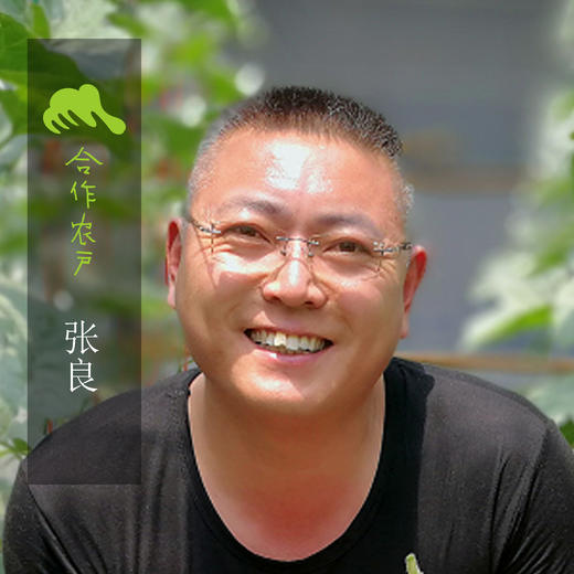 有机西葫芦+黄瓜团购 | 合作生产 *Organic Cucurbita pepo & White Cucumber | Coprodution 商品图5