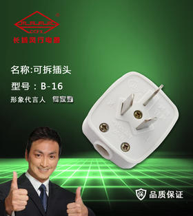 长城风行 三插头 B-16 16A