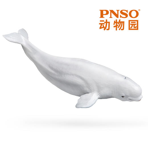 PNSO海豹暹罗猫猫鼬熊猫考拉白鲸动物园成长陪伴模型 商品图1