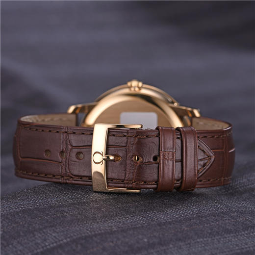 欧米茄 OMEGA 碟飞系列自动机械男表 424.53.40.21.02.002 商品图5