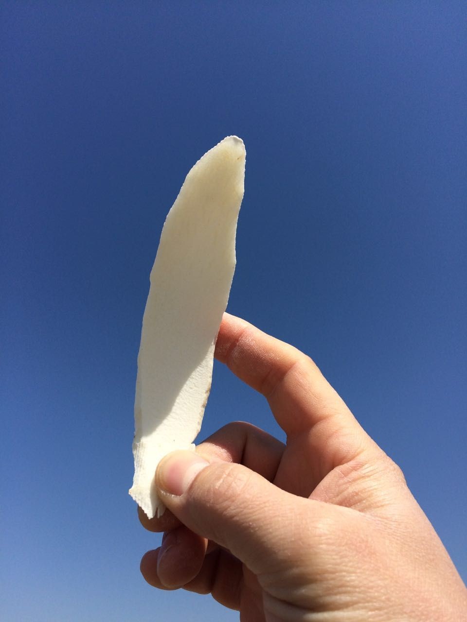 垆土山药粉和干片