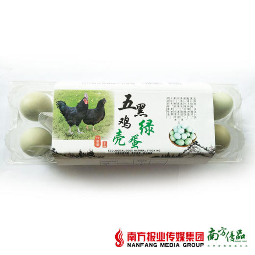 【次日提货】五黑鸡绿壳蛋  12个/盒 商品图1