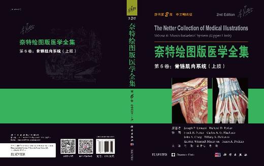 奈特绘图版医学全集——第6卷：骨骼肌肉系统（上肢）（第2版）（中文翻译版） 商品图3