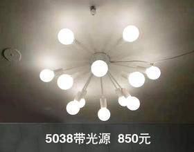 5038带光源 异型灯 吊灯