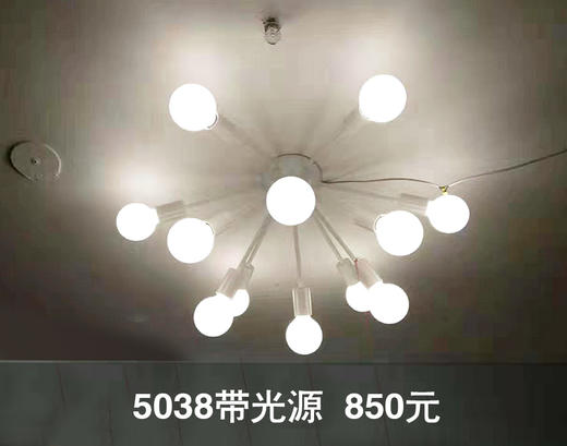 5038带光源 异型灯 吊灯 商品图0