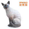 PNSO海豹暹罗猫猫鼬熊猫考拉白鲸动物园成长陪伴模型 商品缩略图4