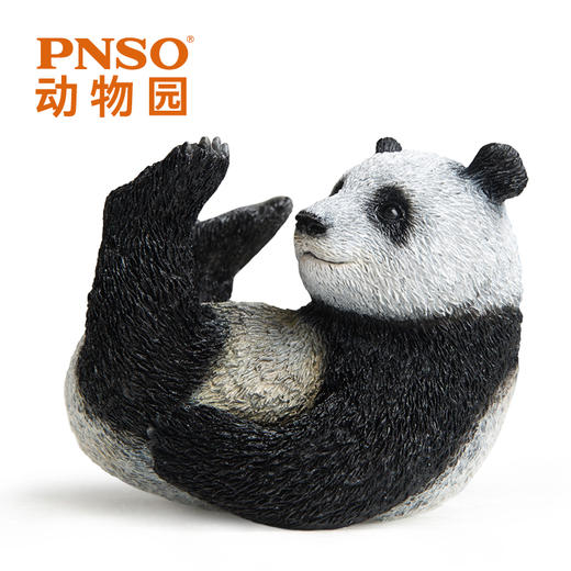 PNSO海豹暹罗猫猫鼬熊猫考拉白鲸动物园成长陪伴模型 商品图5