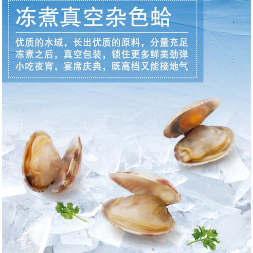 海鲜食材无沙杂色花蛤  500g 商品图4
