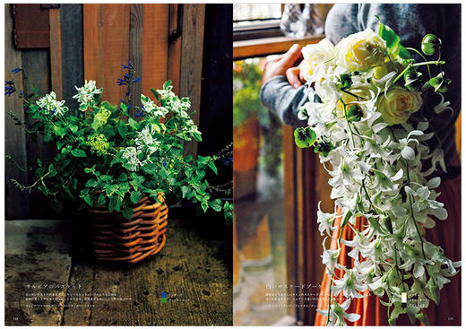【预订】法式花束设计 美丽配色集 花艺设计 商品图3