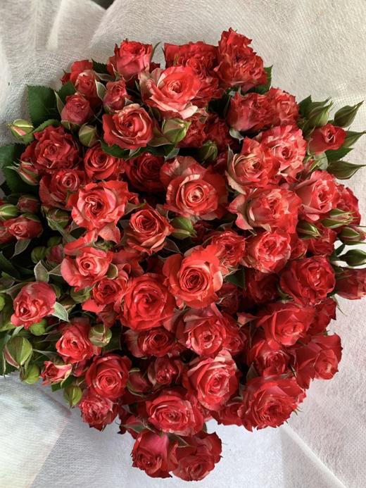 多头玫瑰梦幻水晶a级