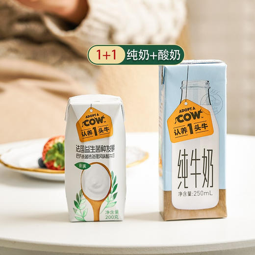 认养一头牛 纯牛奶/酸奶 1提12盒 商品图1