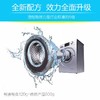洗衣机3个月不清洗比马桶还脏，衣服都白洗！MazMac洗衣机槽清洁剂，消菌除垢，秒变新机！ 商品缩略图3