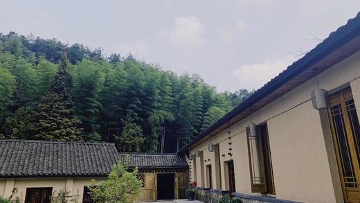 杭州基地—禅养山居住宿—2019年7-8月营