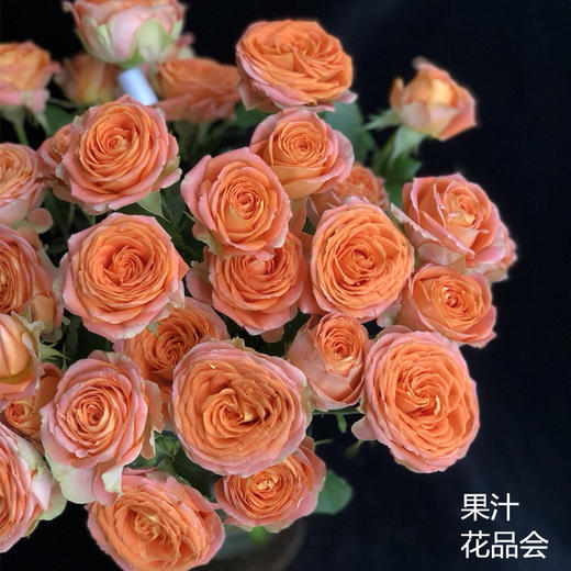 肯尼亚玫瑰|果汁,5支多头 - 广之礼同城鲜花旗舰店