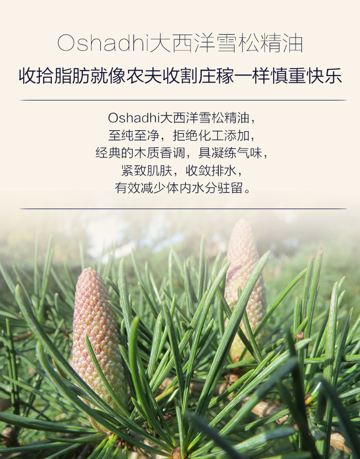 oshadhi德国o家大西洋雪松精油北非雪松精油10ml