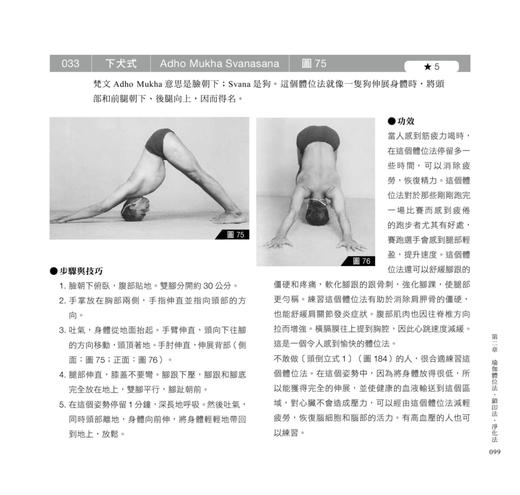 【中商原版】瑜伽之光 台版原版 艾扬格 脸谱出版 商品图4