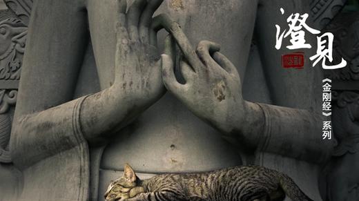 《金刚经》第三分02：破四相的奥义 商品图0