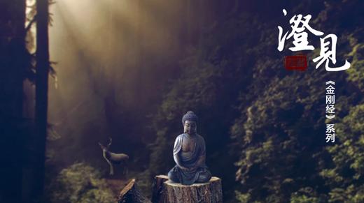 《金刚经》第一分07：还至本处的真高明 商品图0