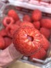 周六取货：【怡颗莓红树莓】一盒125克，蕴藏丰富的营养元素！ 商品缩略图3