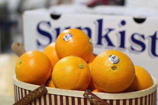 精品 橙子 商品图4