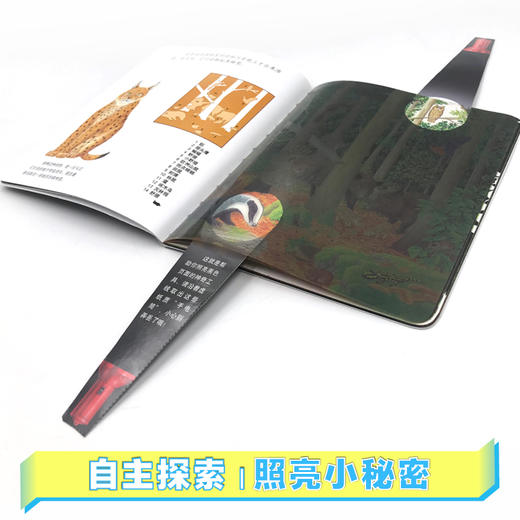 第一次发现丛书手电筒系列·好玩的动物·有趣的生活·神奇的自然 全10册 商品图4