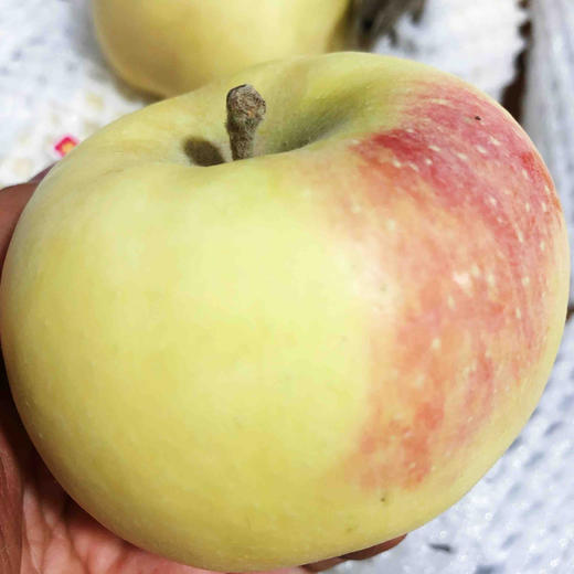 墙裂推荐一款来自天山南麓的牛奶富士苹果果50/箱,特别脆,口感超棒