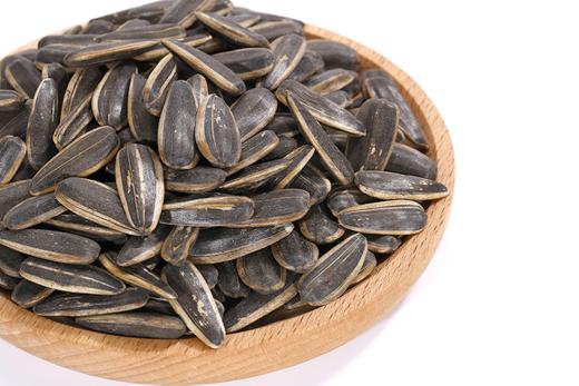 黄金纬度 葵花籽