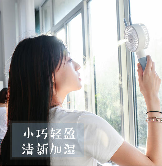 【家用电器】*喷雾加湿制冷usb小风扇萌物风扇 商品图1
